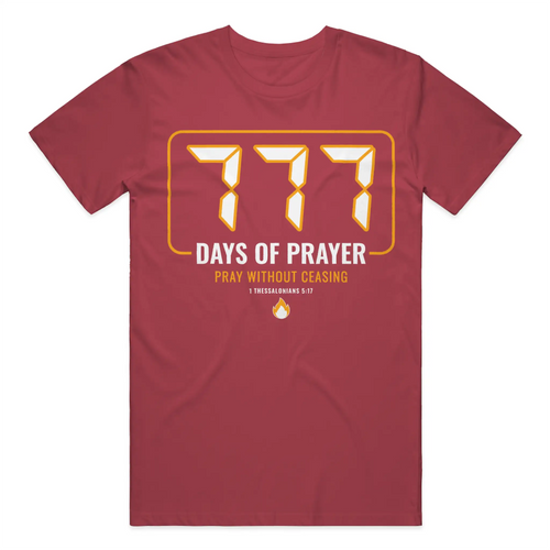 Comfort Colors Heavyweight T Shirt